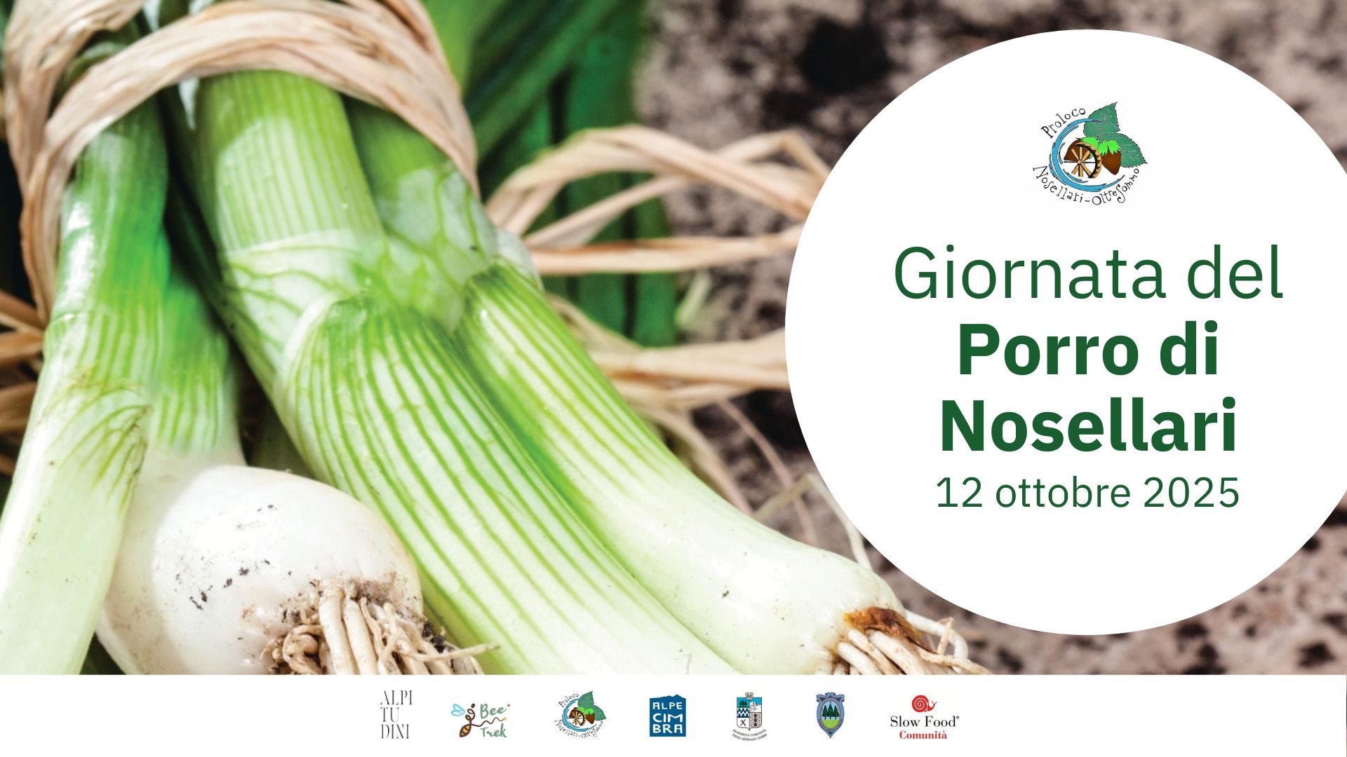 Grafica landing page evento giornata porro 2025 1