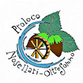 Pro Loco Nosellari - Oltresommo APS